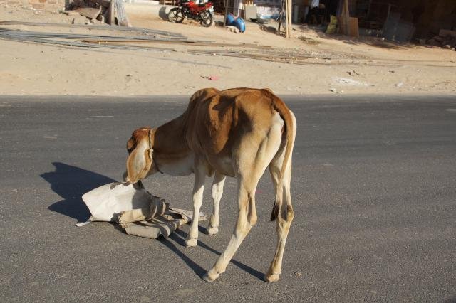 Urlaub in Indien 2016